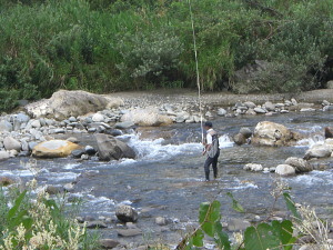新谷川の鮎釣り