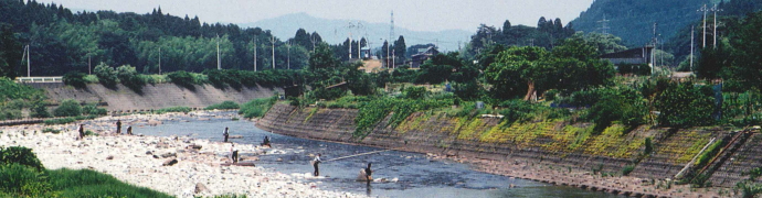 阿賀野川の鮎釣り