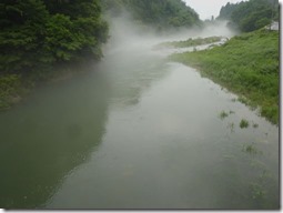 P1010763