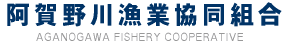 鮎釣りのメッカ…新潟県東蒲原郡 阿賀野川漁業協同組合